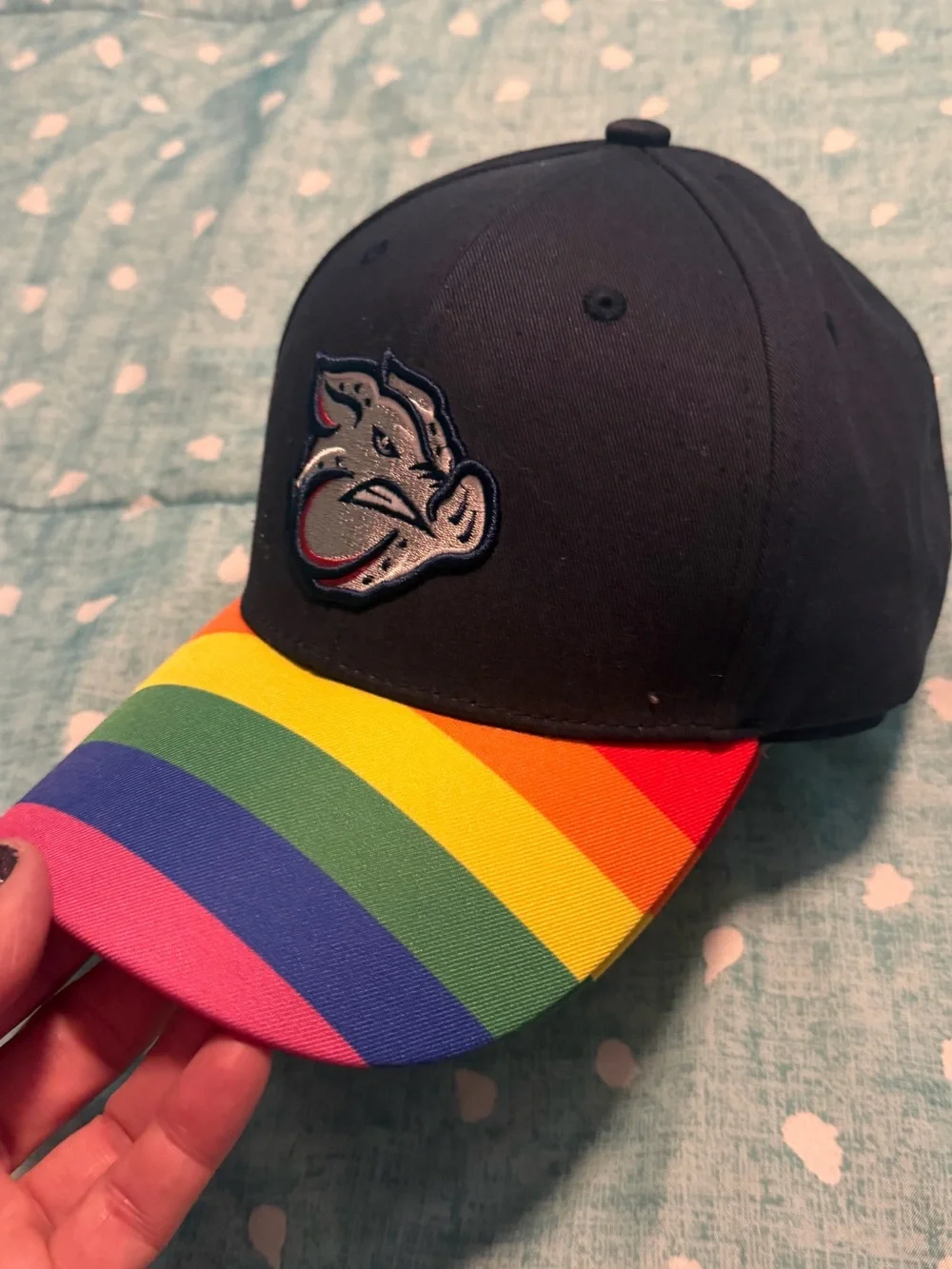 Adult Iron Pigs Rainbow Stripe Brim Baseball Cap. MUST BE BUNDLED
